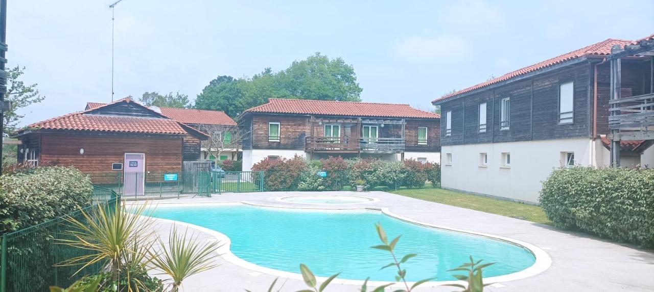 Les Terrasses Du Piscine M65 Aureilhan (Landes)